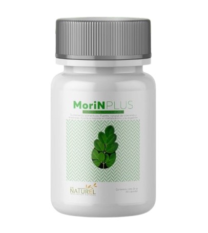 Moringa Oleifera